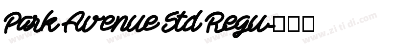 Park Avenue Std Regu字体转换